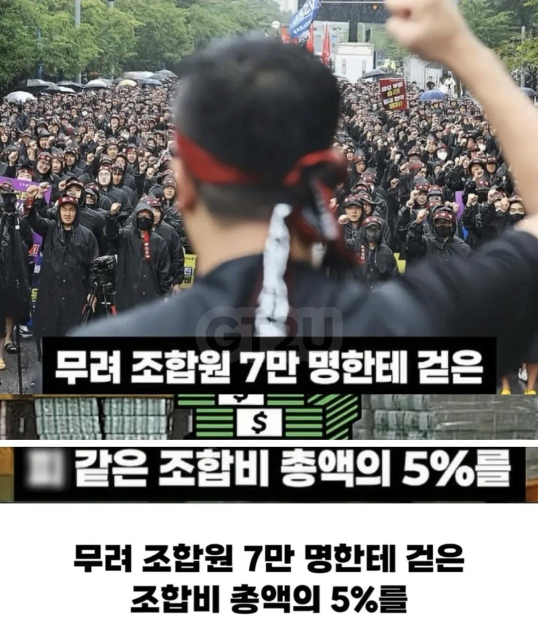 13446.jpg