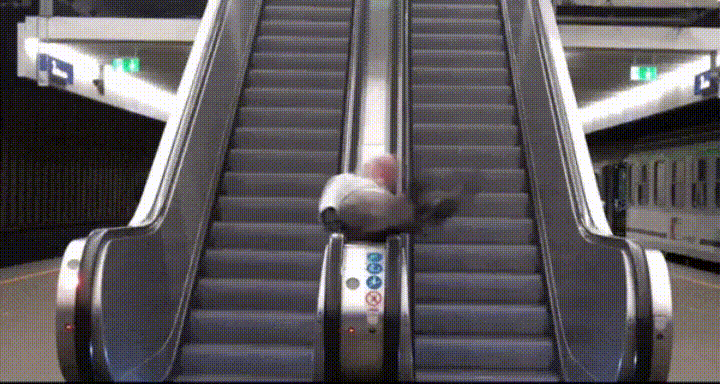 1903___155302847.gif