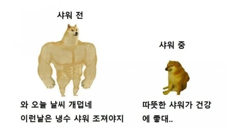 화면_캡처_2026-05-19_182649.jpg