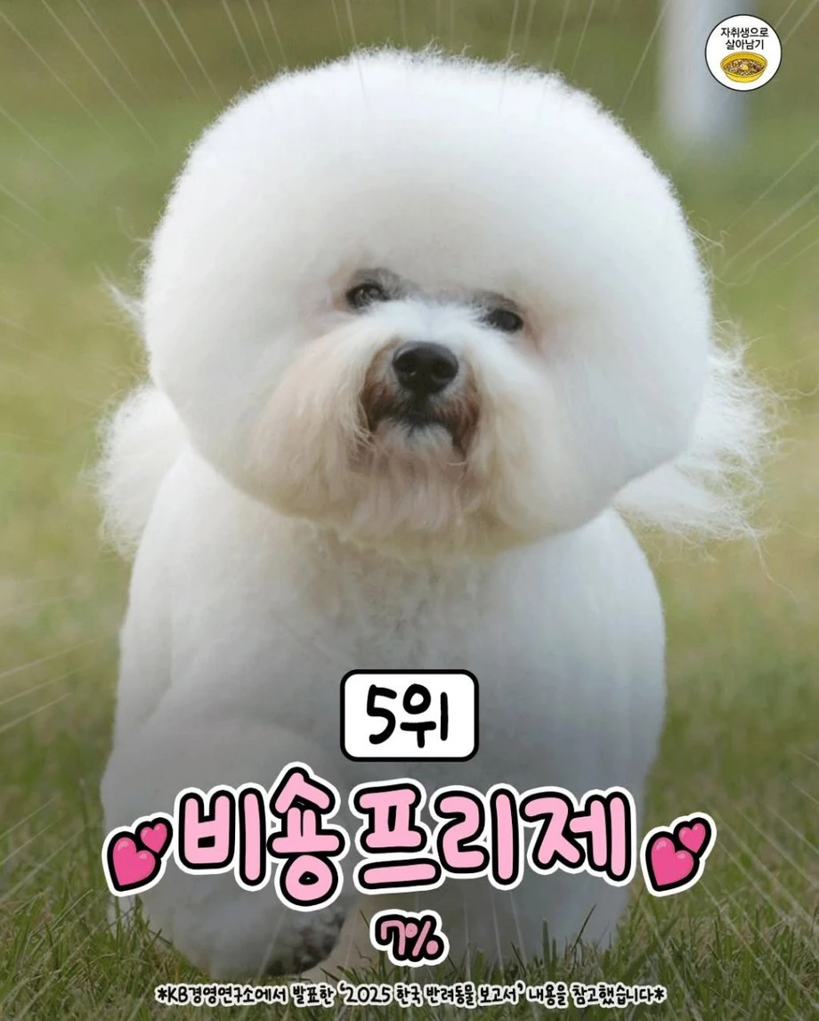 2e9c37dd-298d-452a-b458-0cc33954cc79_9ee9c3563666a9022f92.webp