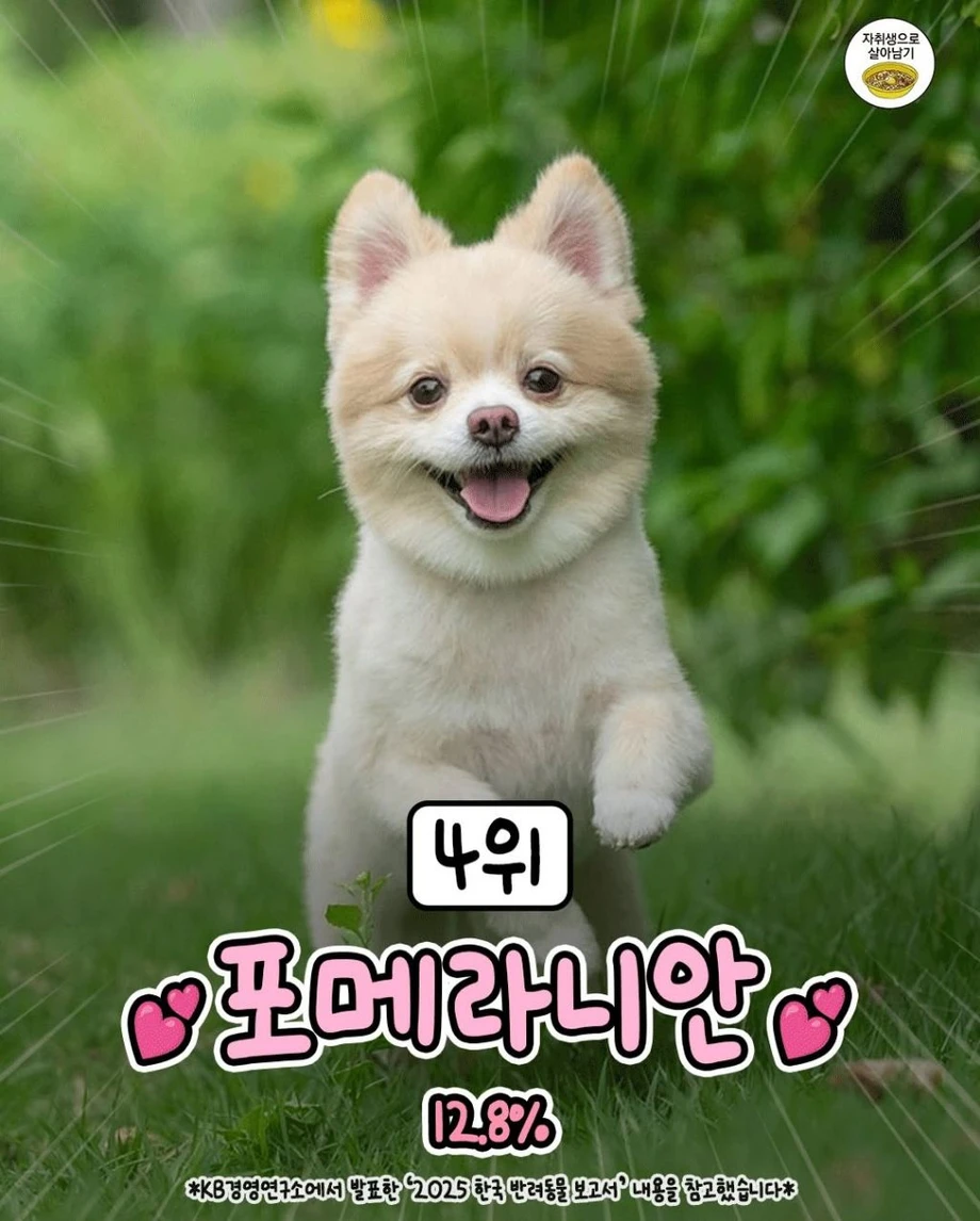 494a5427-f8c4-4ce5-a6fa-efeaf2c4b23f_969e28ff5922b7100cae.webp