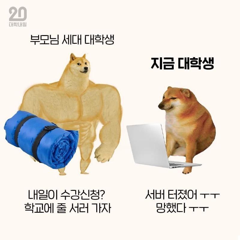 Internet_20260520_160019_4.jpeg