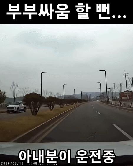 GIF 2026-05-20-수 오후 8-46-44.gif