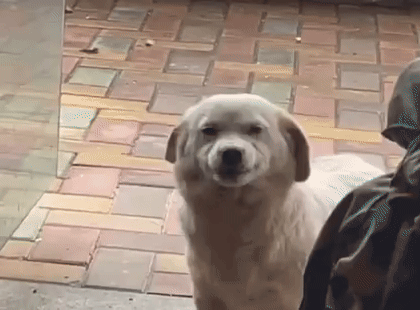 2fa897cc2dbf83ac32252717e7580af658d3f7dd.gif