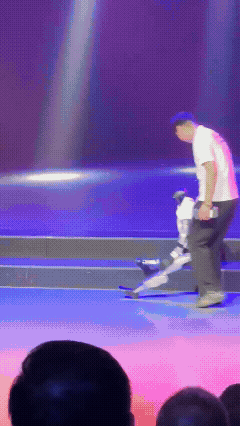 65806.gif