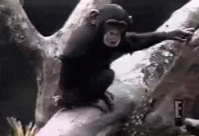 BgQN1711687307_954272183.gif