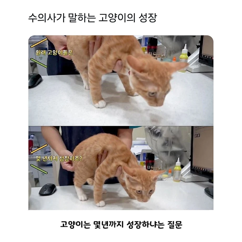 1000103073.webp