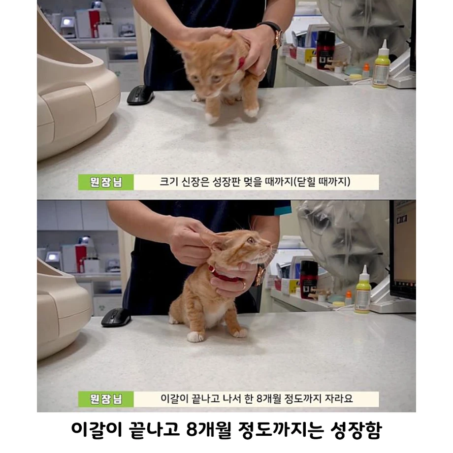 1000103074.webp