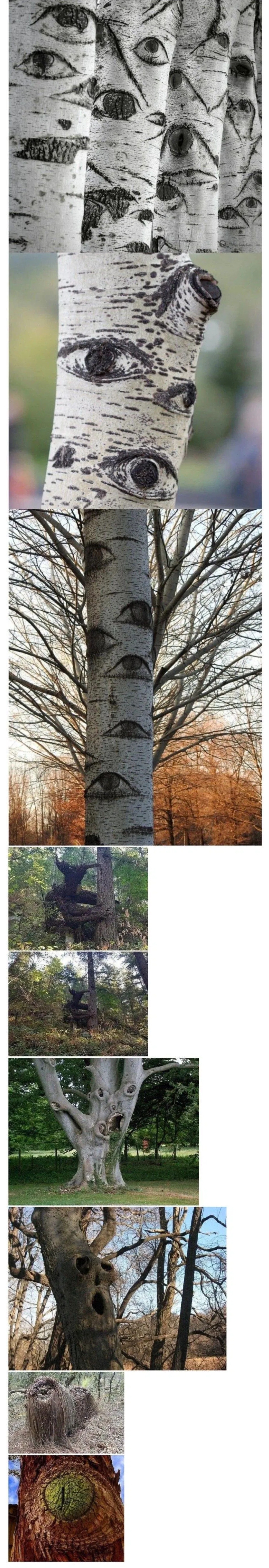 1000035036.jpg