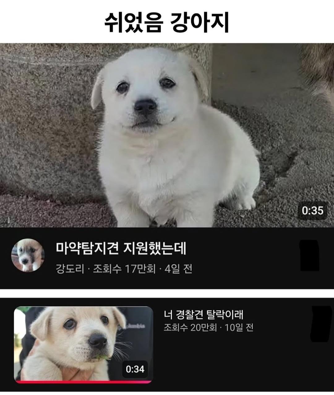 Screenshot_20260523_143831_Instagram.jpg