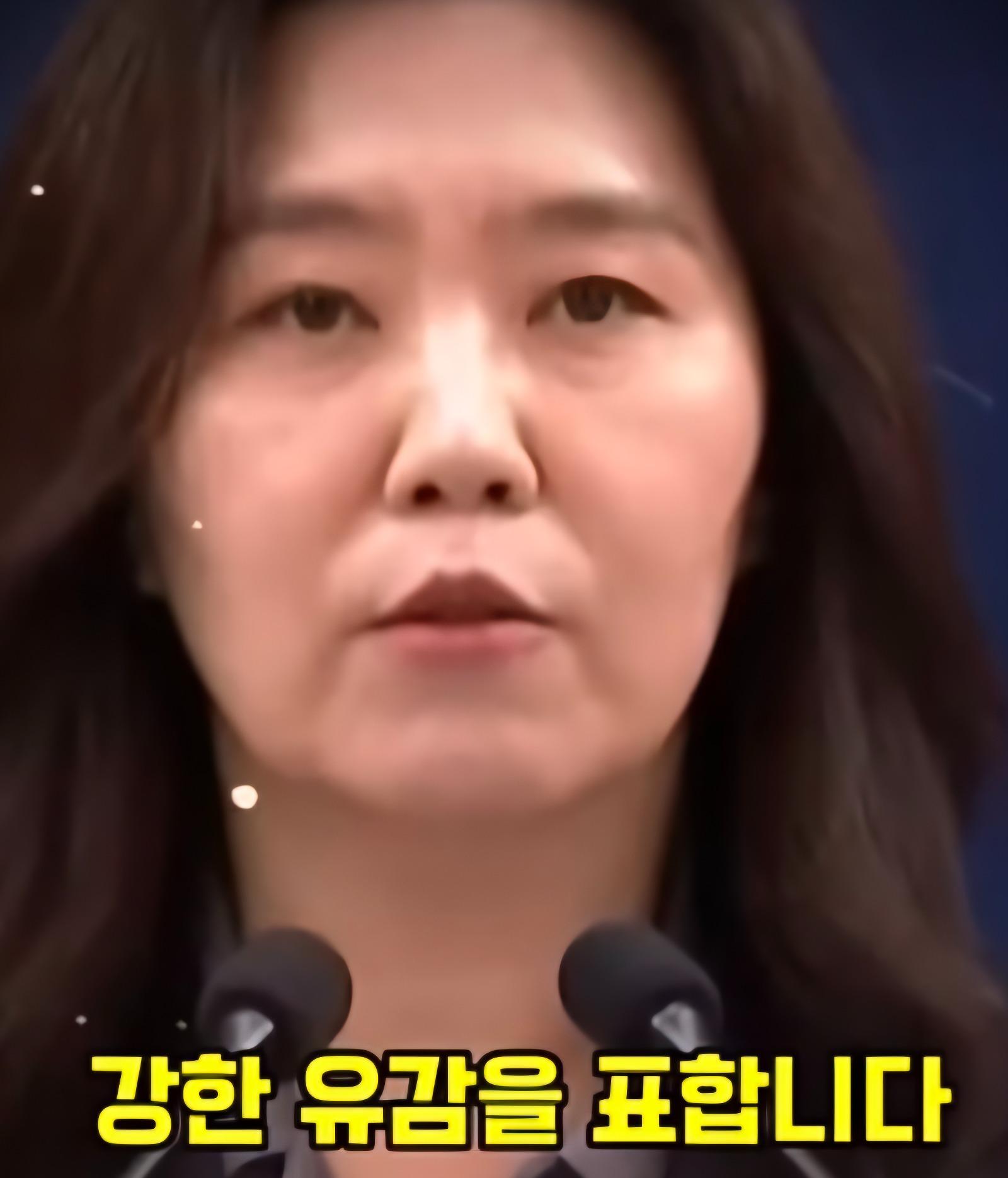 13206.jpg