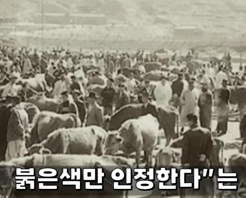 13303.jpg