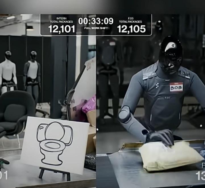 13496.jpg