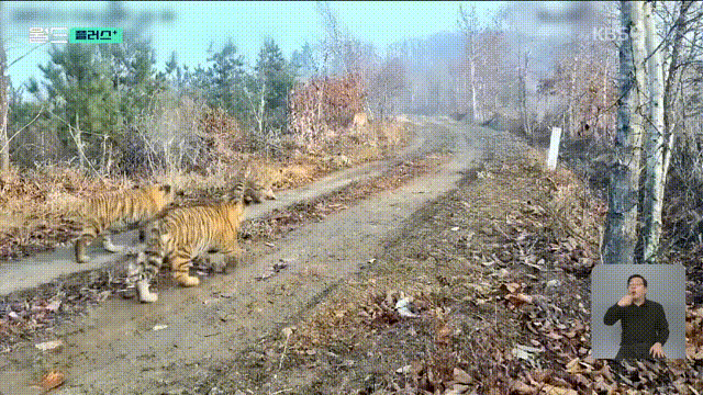 1779554645_310259024.gif
