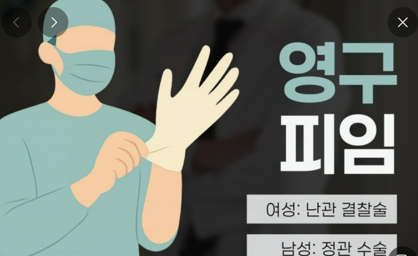 루프 피임 1.png