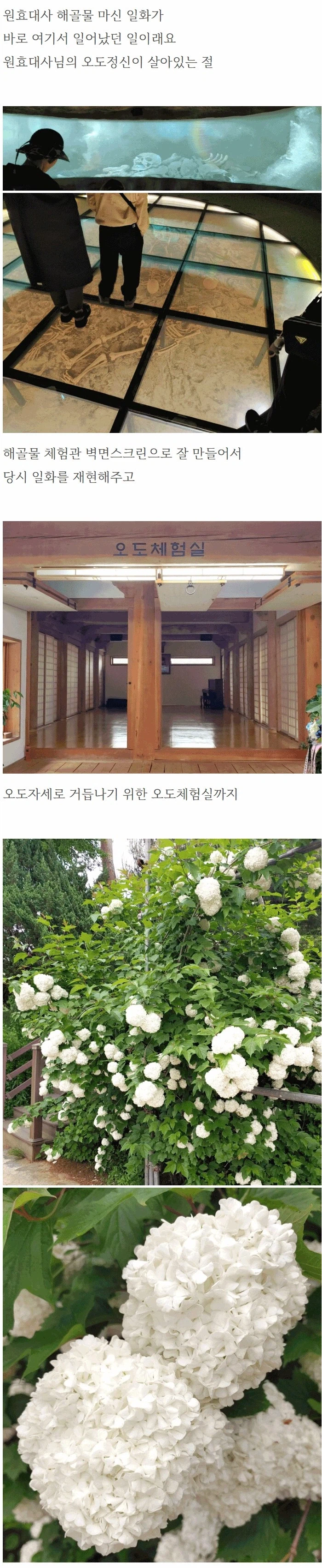 3.webp