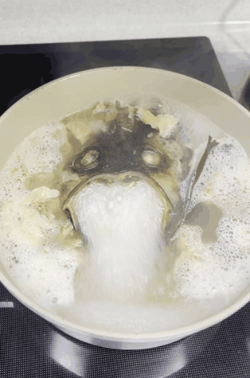 ec086f2af00a3f1e731a821e671f525e7531fdbe_20260526121718.gif