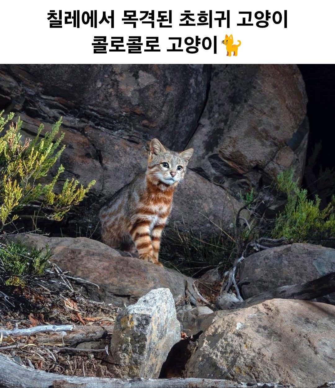 Screenshot_20260526_143834_Instagram.jpg