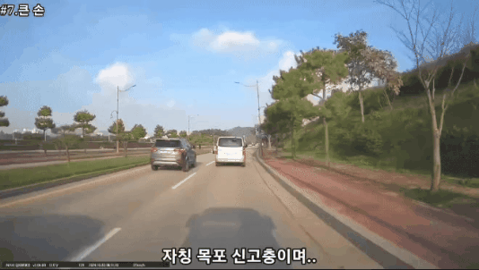 zall1758624352_1279576856.gif