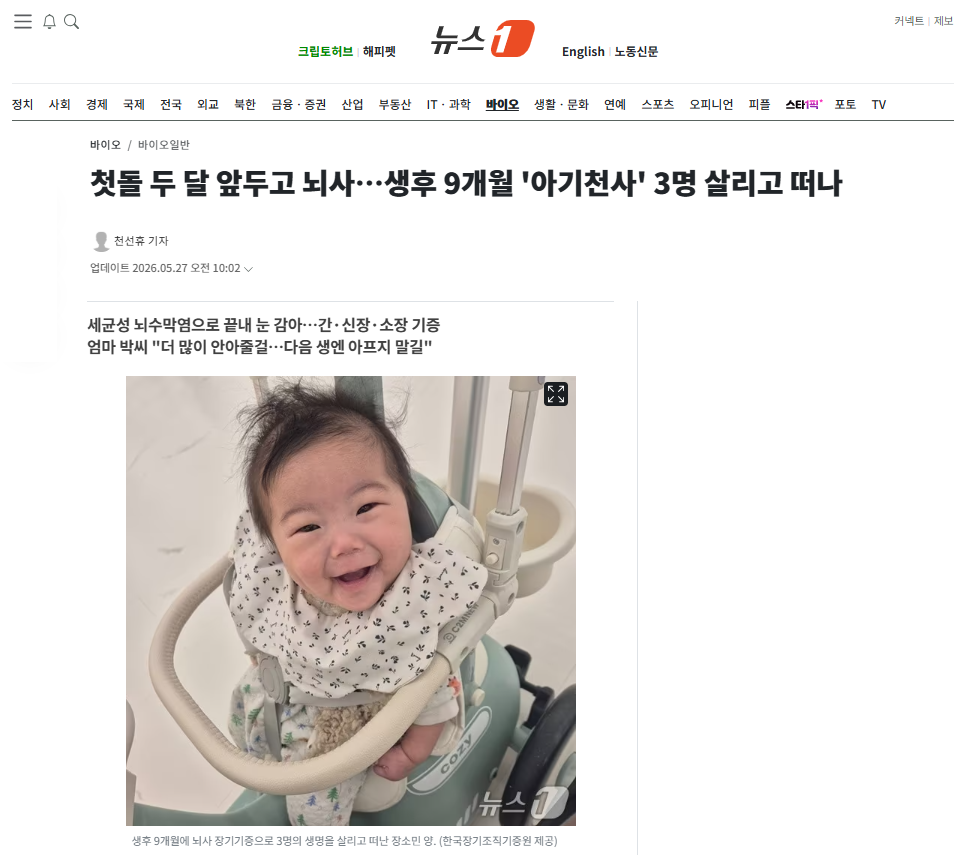 뇌사.png
