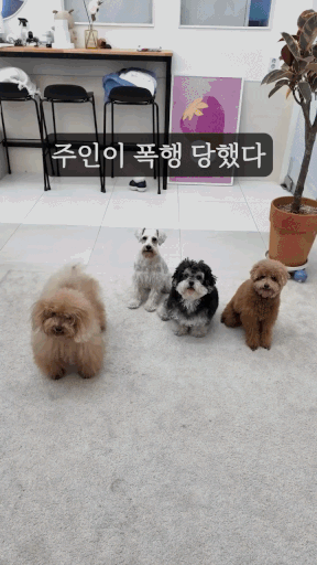 1000052843.gif