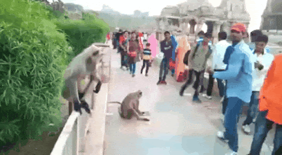 unnamed.gif