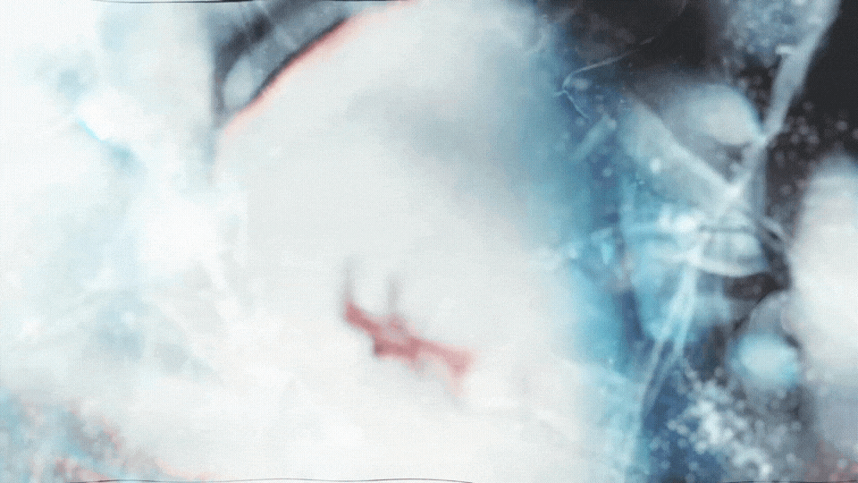 GIF_20260528_155713_314.gif