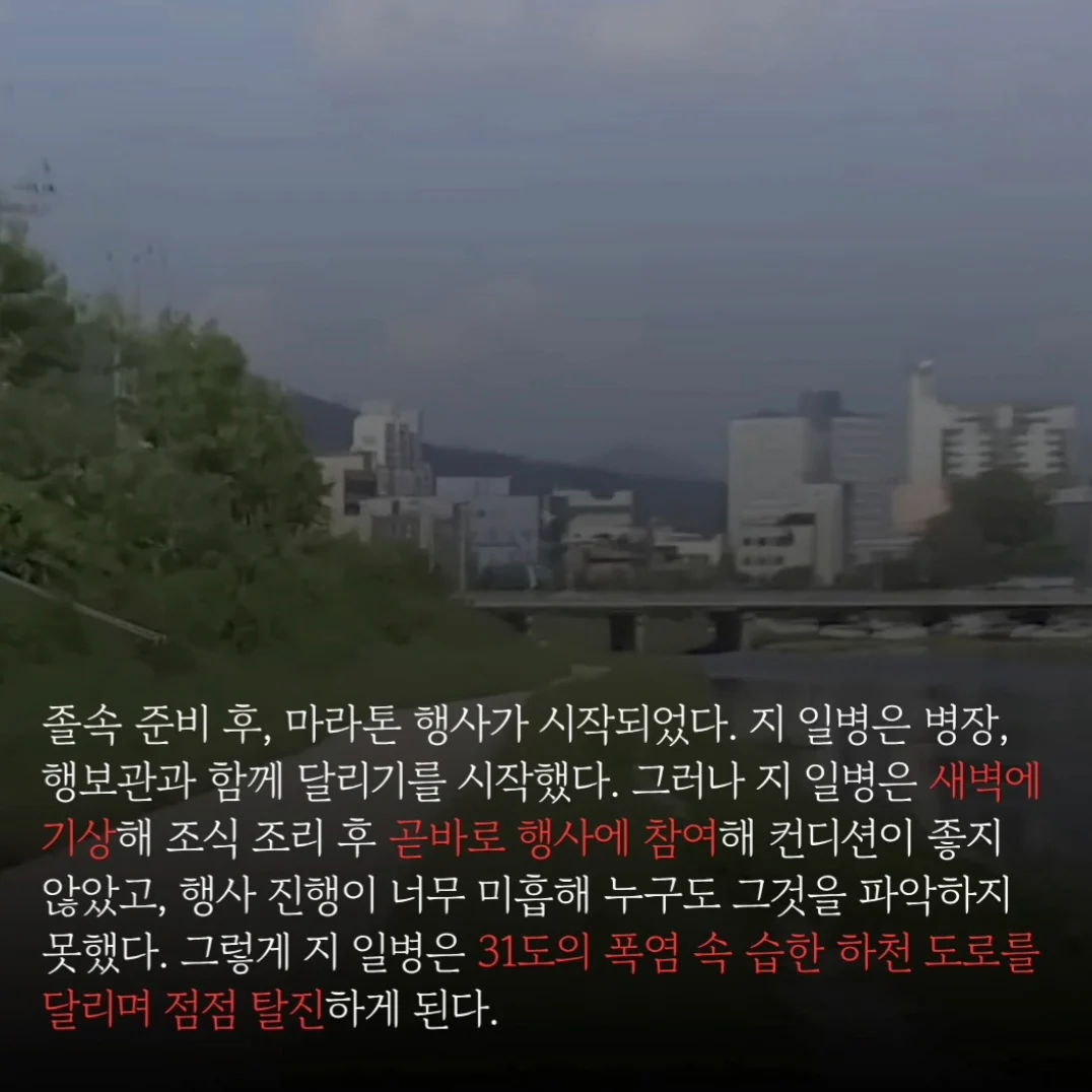 6.webp