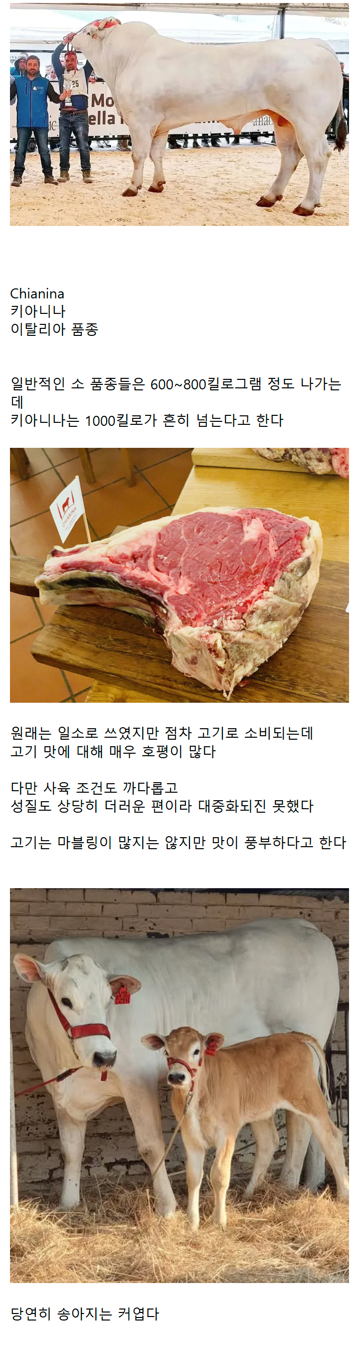 fee38d5cbcb23be05ef3e63e86b2c349.png