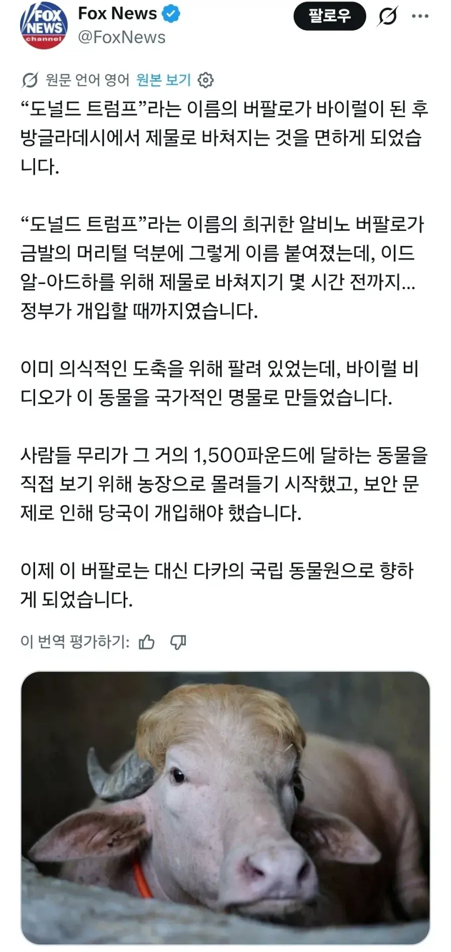 1000104194.webp