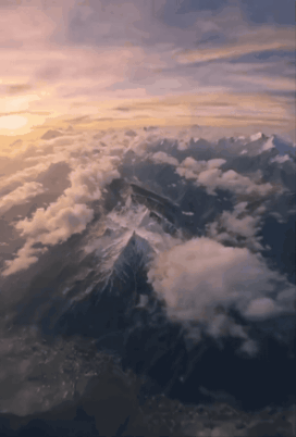 zall1753158980_142390445.gif