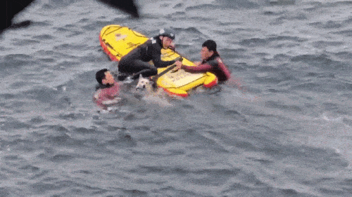 0000493384_002_20260528171620384.gif