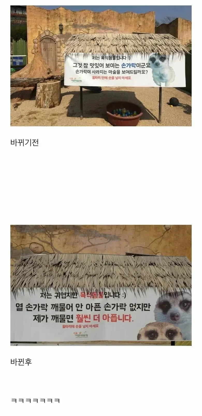 1000104206.webp