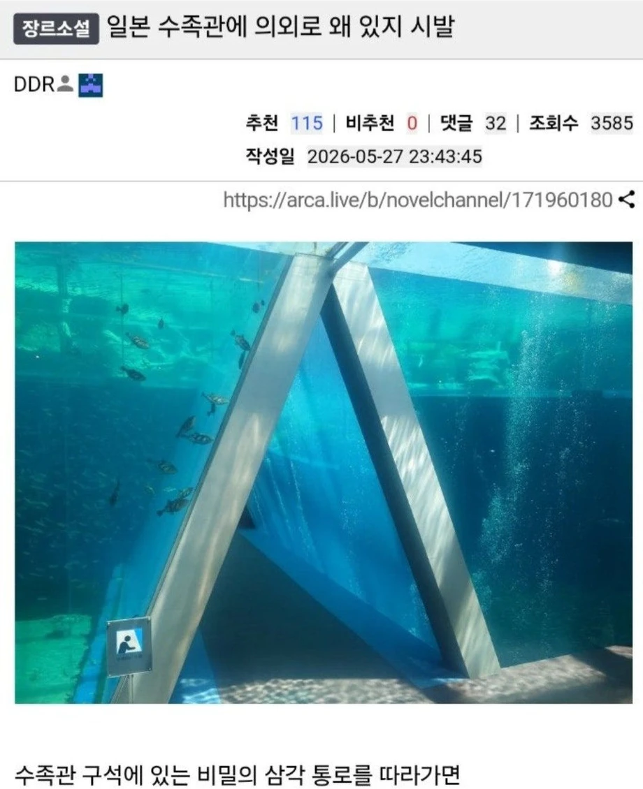 1000104239.webp
