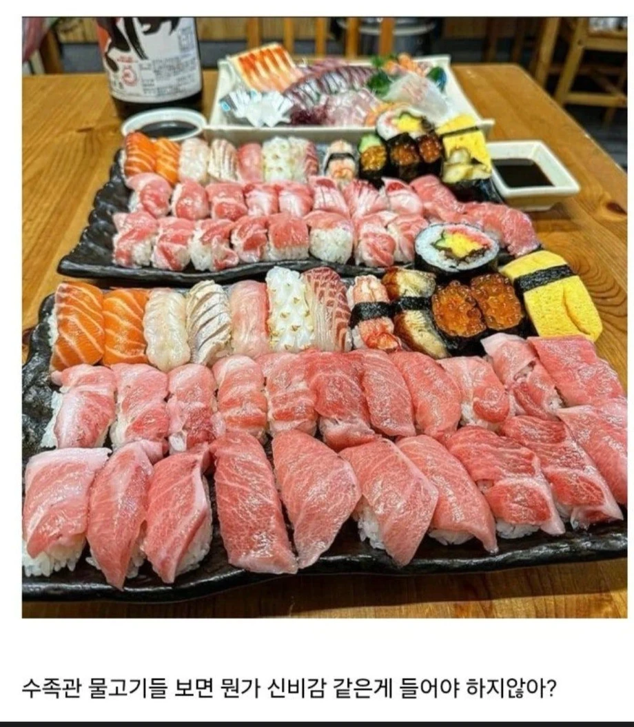 1000104241.webp