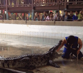 531154dabb1d9a4d72161411.gif
