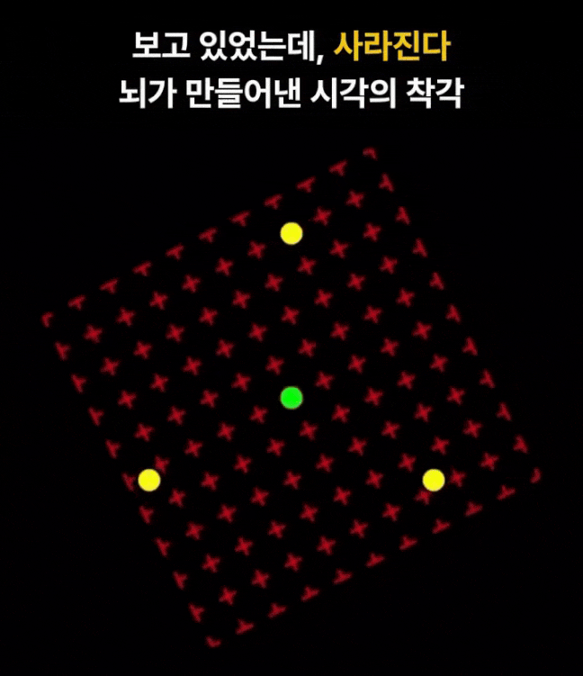 5949530_EzQvocP7sn_1767677602705.gif