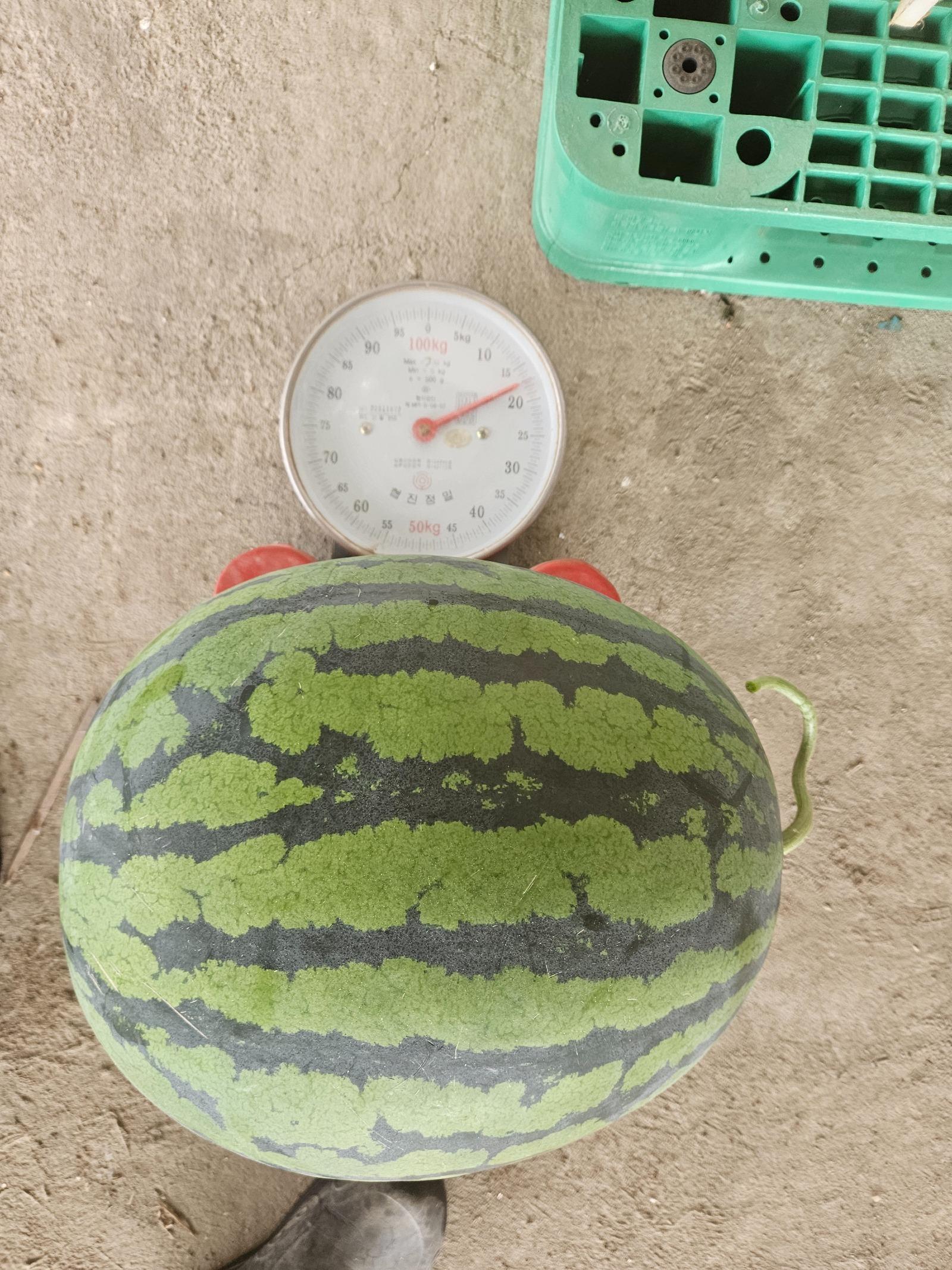 1000014297.jpg
