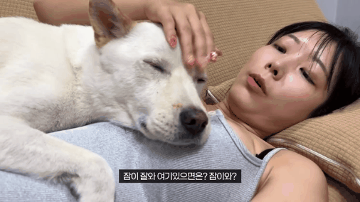 zall1723606946_1474278170.gif