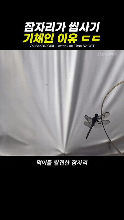 1000058895.gif