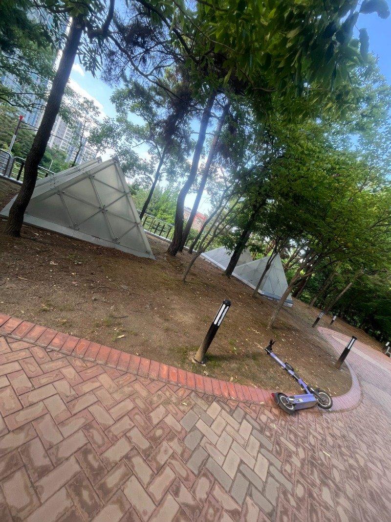 1780400650_212105247.jpg