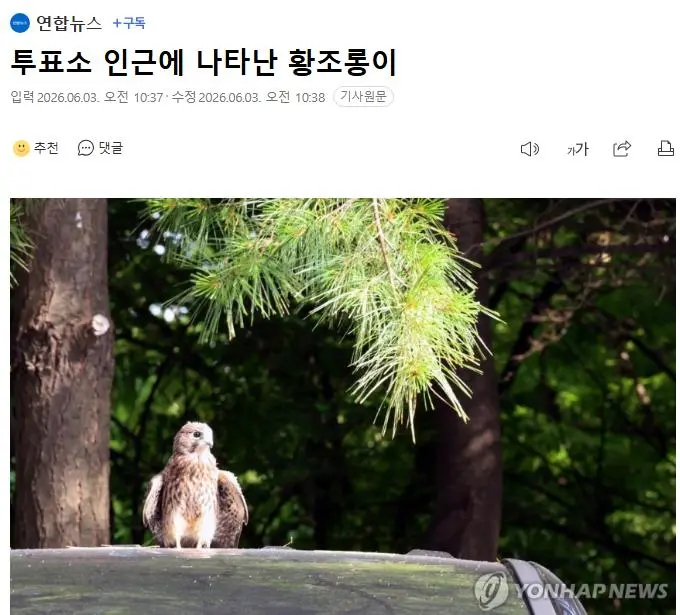 1000046573.webp