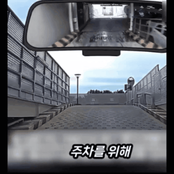 GIF_20260603_132759_941.gif