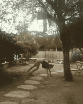 zall1752554058_791838128.gif