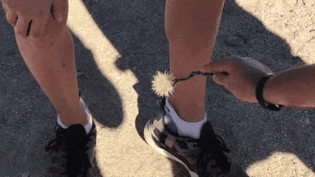 zall1752552178_238425384.gif