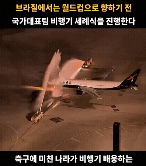 1000138819.gif