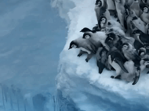 Video_2026_0606_121926-ezgif.com-video-to-gif-converter.gif