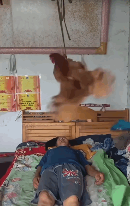 IMB_WJREq9.gif