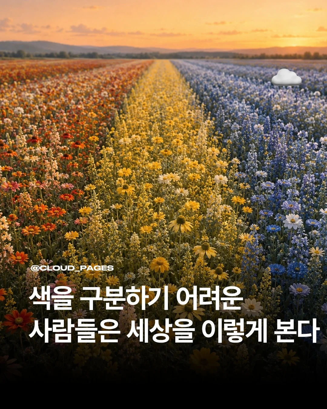 3e86136047ec0a4534c74c85a9bcf0a3.webp
