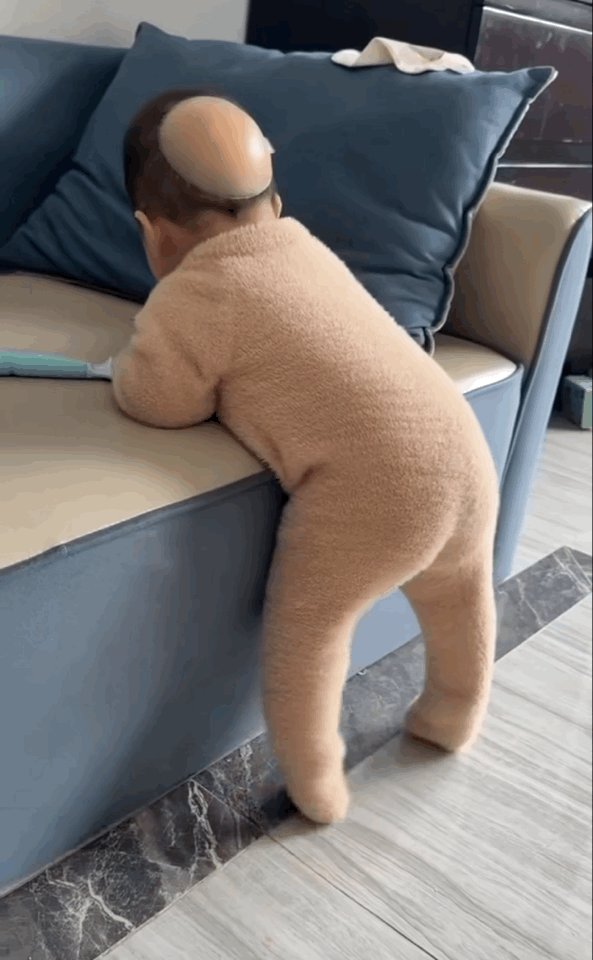 IMB_a41SRZ.gif